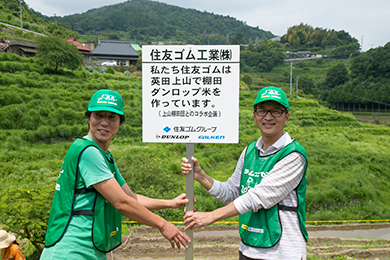 ダンロップ米豊作を願って