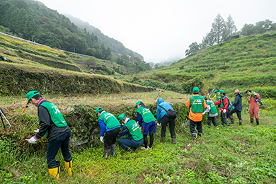 棚田の石垣清掃開始