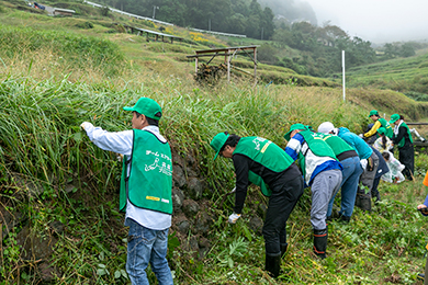 棚田の石垣清掃開始