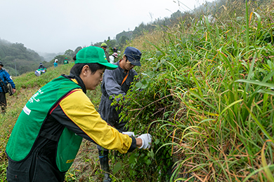 小さなお子様も頑張って清掃を行いました