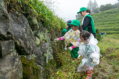 小さなお子様も頑張って清掃を行いました