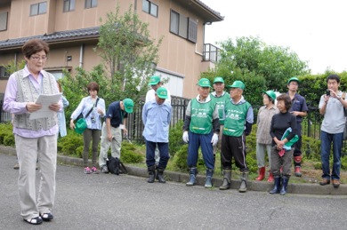 ムサシトミヨに関する説明