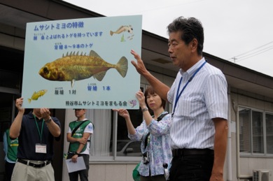 ムサシトミヨに関する説明