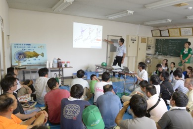 ムサシトミヨの生態