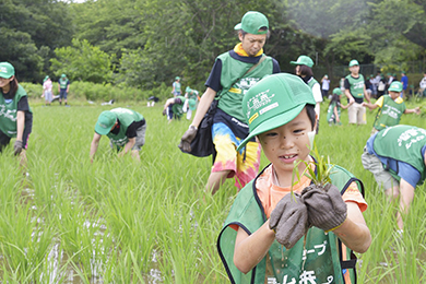 水田の草刈り
