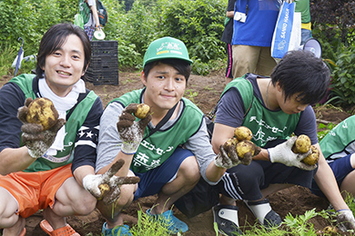 ジャガイモ掘りを体験