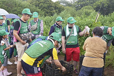 ジャガイモ掘りを体験