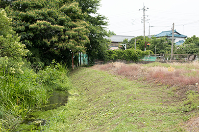 たくさん草を刈りました