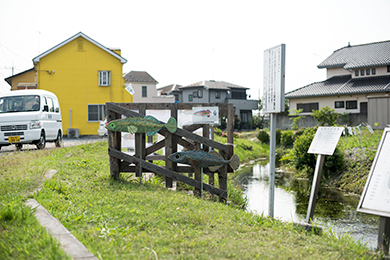 澄んだ川にムサシトミヨがたくさん泳ぎ回りますように