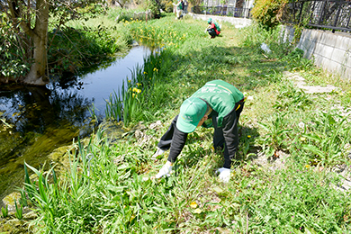 みんなで楽しく草刈り
