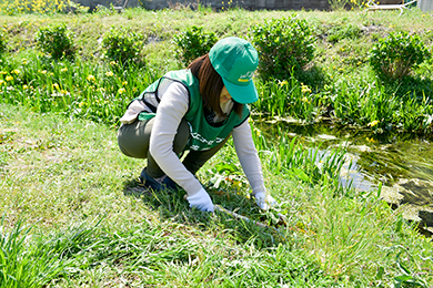 みんなで楽しく草刈り