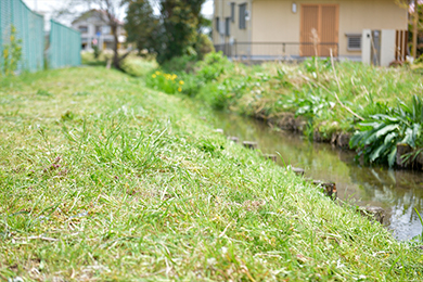 キレイになりました