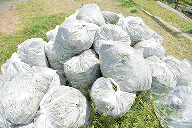 キレイになりました