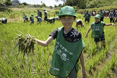 見沼たんぼプロジェクト推進委員会、ファーム・インさぎ山