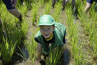 子どもたちも草取りに挑戦