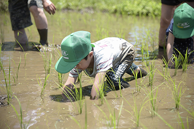 子どもたちも草取りに挑戦