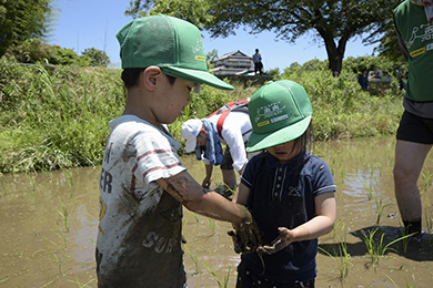 子どもたちも草取りに挑戦