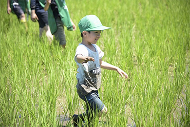 子どもたちも草取りに挑戦