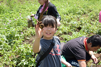 じゃがいも堀り体験