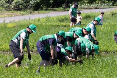 未来遺産・見沼たんぼプロジェクト推進委員会、ファーム・インさぎ山