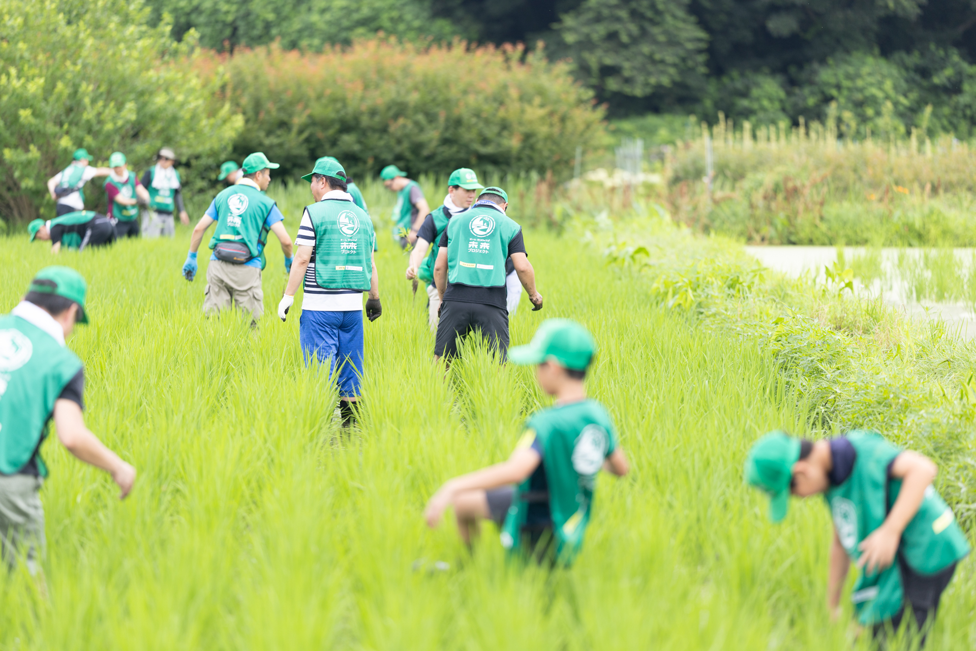 未来遺産・見沼たんぼプロジェクト推進委員会、ファーム・インさぎ山