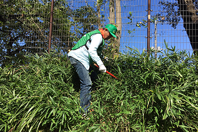 皆で協力して除草作業