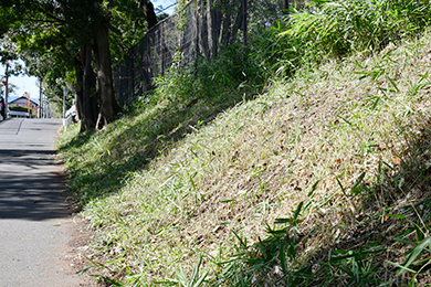 見違えるほどキレイにすることができました