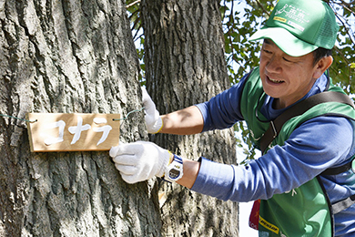 樹名板の取り付け