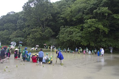 NPO自然回復を試みる会・ビオトープ孟子
