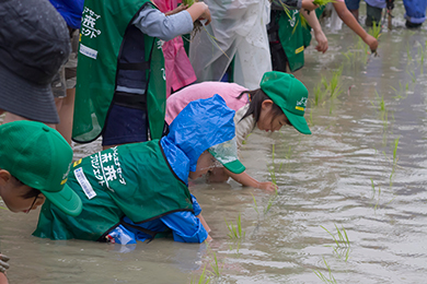 雨にも負けず、元気に田植えを実施