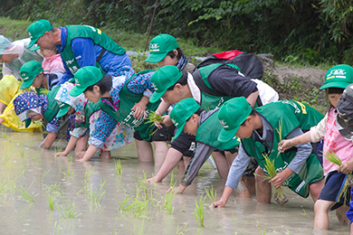 雨にも負けず、元気に田植えを実施