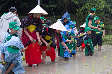 早乙女の衣装を着て田植えを行うこどもたち