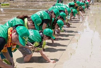 NPO自然回復を試みる会・ビオトープ孟子