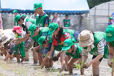 地元の方と一緒に田植え