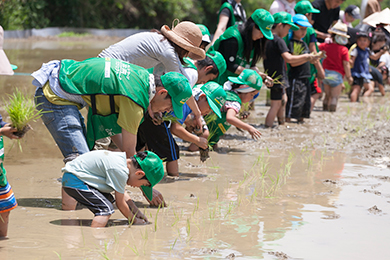 地元の方と一緒に田植え