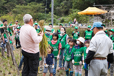 稲刈りのご説明