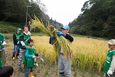 稲刈りのご説明