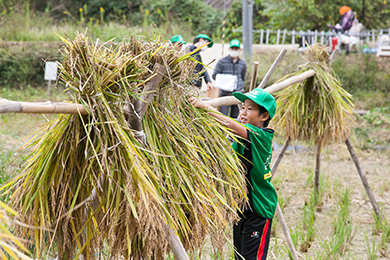 束にしてハゼかけ