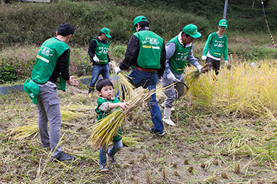 束にしてハゼかけ