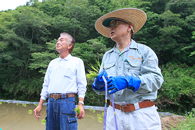 植え付ける苗はキヌヒカリ