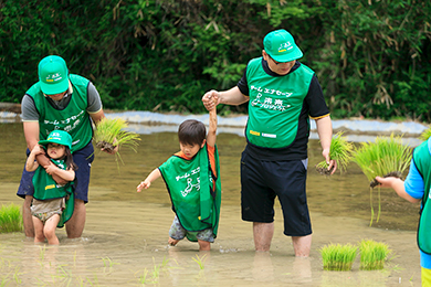 田植え体験