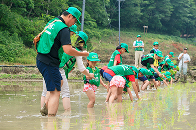 田植え体験