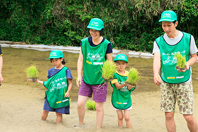 田植え体験