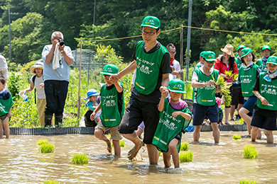 田植え体験