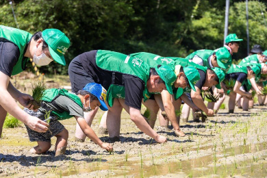 泥だらけになりながら田植え