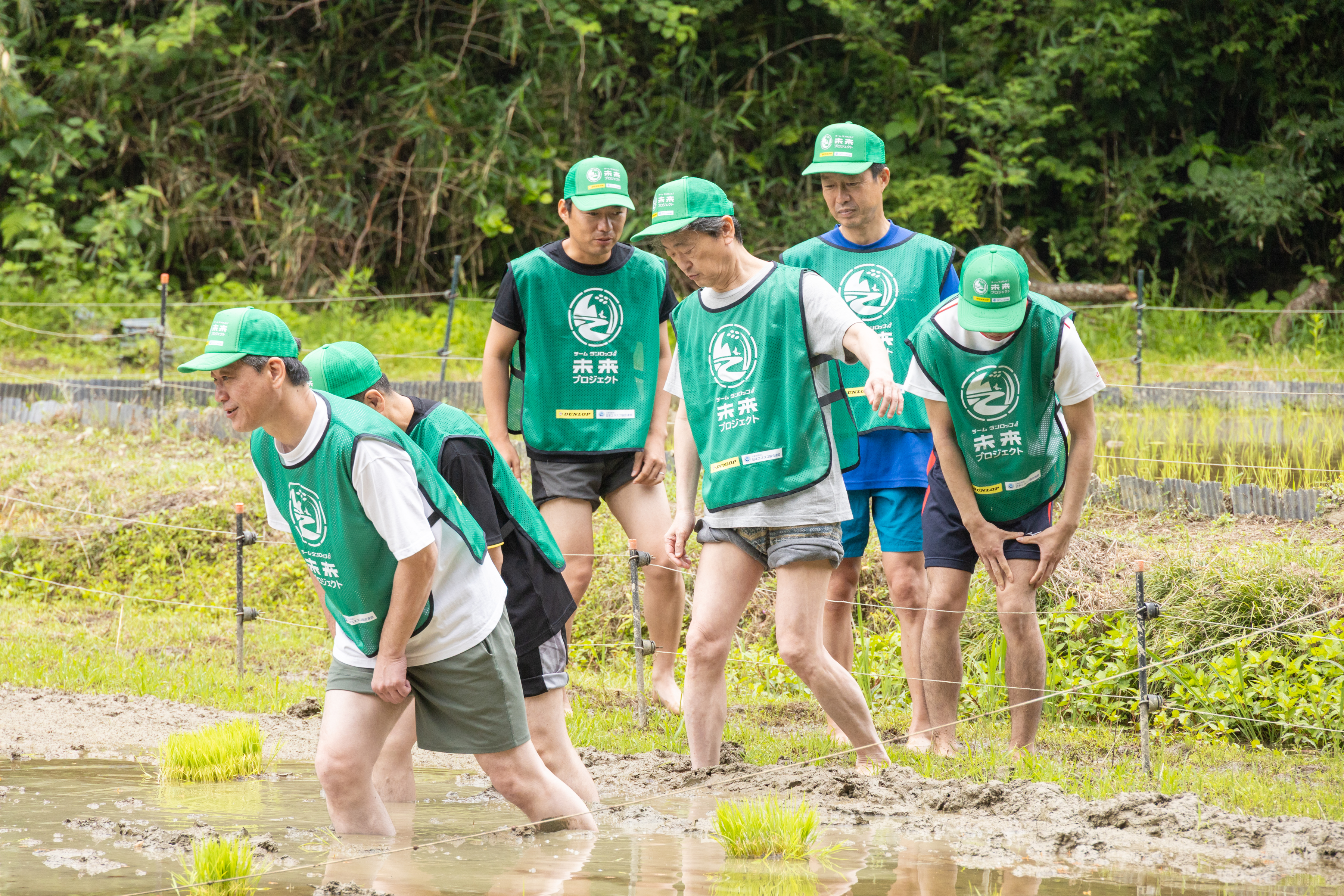泥だらけになりながら田植え