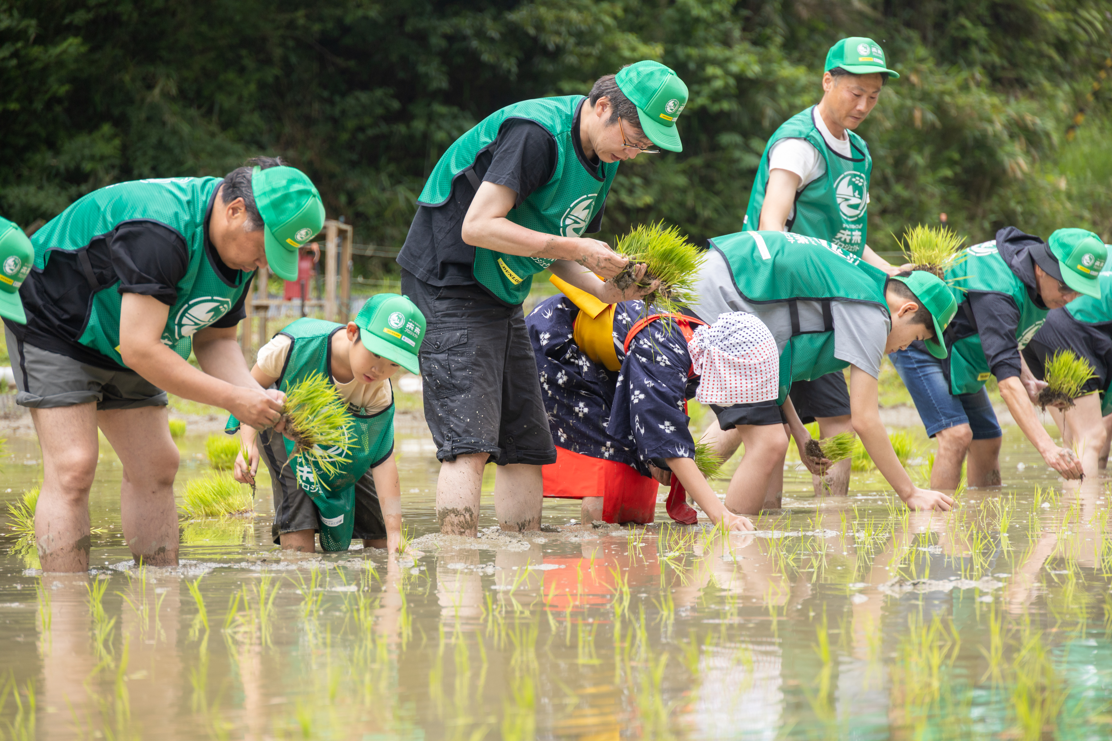 泥だらけになりながら田植え