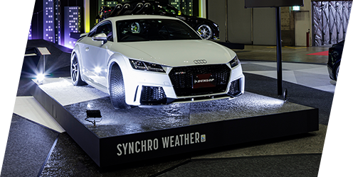 全天候路面ゾーン イメージ