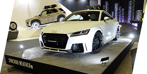 全天候路面ゾーン イメージ