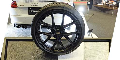 全天候路面ゾーン イメージ